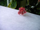 IMAG0017