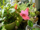 IMAG0095