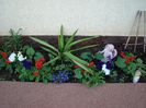 DSC01010
