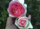 11-06-13_0647