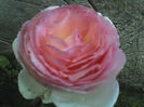 11-06-13_0648