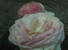 11-06-13_0649
