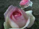 11-06-13_0650