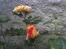 11-06-13_0656
