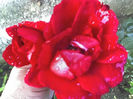 11-06-13_0701