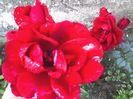 11-06-13_0702
