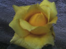 11-06-13_0651