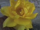 11-06-13_1405
