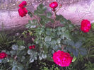 11-06-13_0704