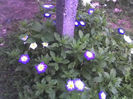 10-06-13_1106