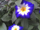 10-06-13_1107