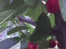 10-06-13_1640