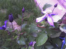 11-06-13_0710