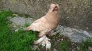 DSC01304