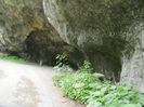 IMG_5493