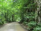 IMG_5490