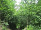 IMG_5472