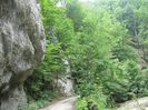 IMG_5469