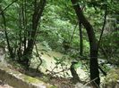 IMG_5413