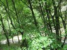 IMG_5404