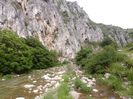 P1050126