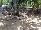 2013-06-09 14.49.41