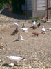 Image0245