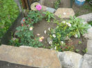 Picture 020
