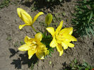 Picture 045