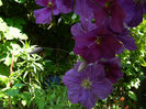 DSCN4127