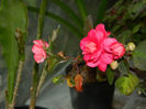 DSCN4139