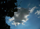 DSCN4155