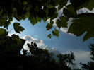 DSCN4175