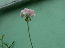 DSCN4166