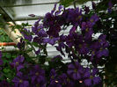DSCN4191