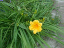 DSCF1766