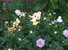 DSCF1772
