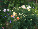 DSCF1760