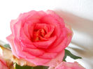 DSCN5804