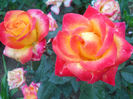 DSCN5814