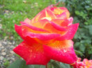 DSCN5816
