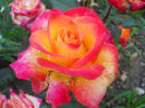 DSCN5818