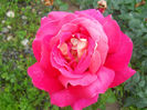 DSCN5822