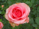 DSCN5830