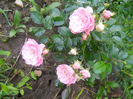 DSCN5840