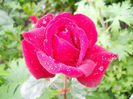 DSCN5861
