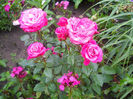 DSCN5876