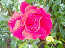 DSCN5879