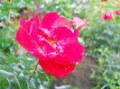DSCN5885