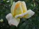 DSCN5888